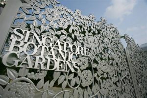 Singapore Botanical Gardens 300x200 24 Tempat Wisata di Singapura Yang Paling Menarik