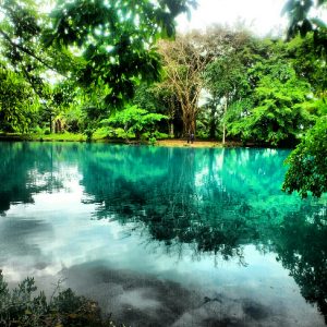 Danau Linting 300x300 25 Tempat Wisata di Sumatera Utara Yang Menarik