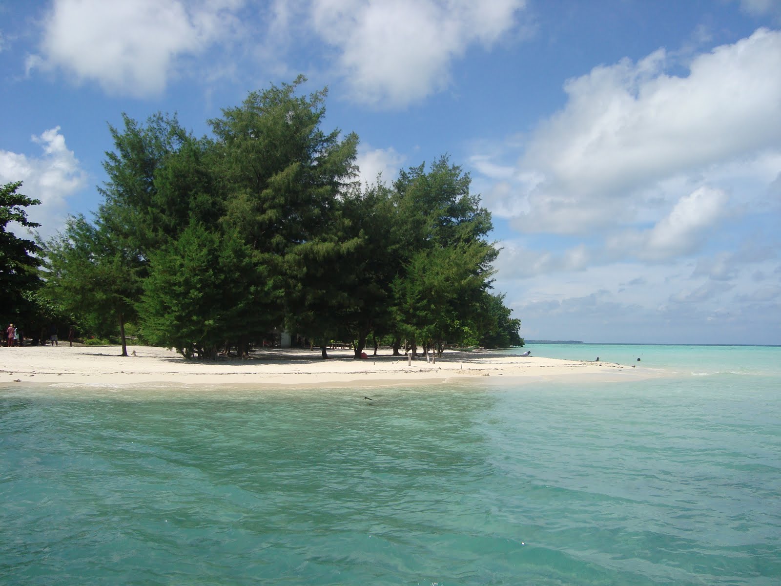 Wisata Kepulauan Karimunjawa Jepara