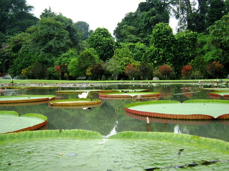 Beberapa Tempat Wisata di Bogor yang Wajib di Kunjungi
