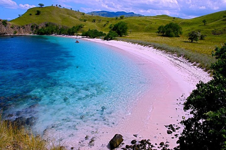 Pink Beach Pulau Komodo