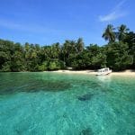 Taman Nasional Teluk Cenderawasih