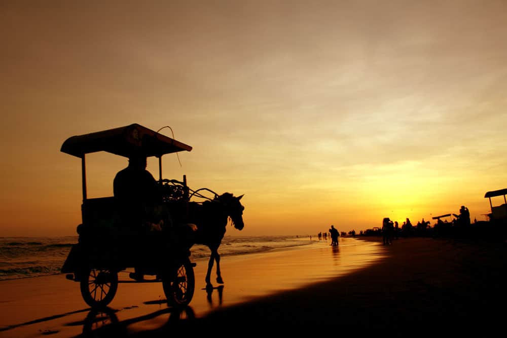 Wisata Jogja - Pantai Parangtritis - Aneka Tempat Wisata