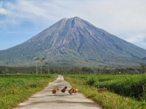 Gunung Semeru Jawa Timur