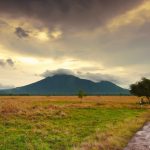 Taman Nasional Baluran Jawa Timur