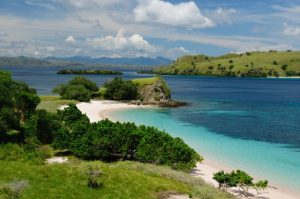 Pulau Komodo (Kepulauan Nusa Tenggara)