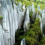 Taman Nasional Gunung Mulu