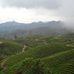 Malino Highland