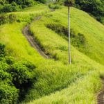 Campuhan Ridge Walk