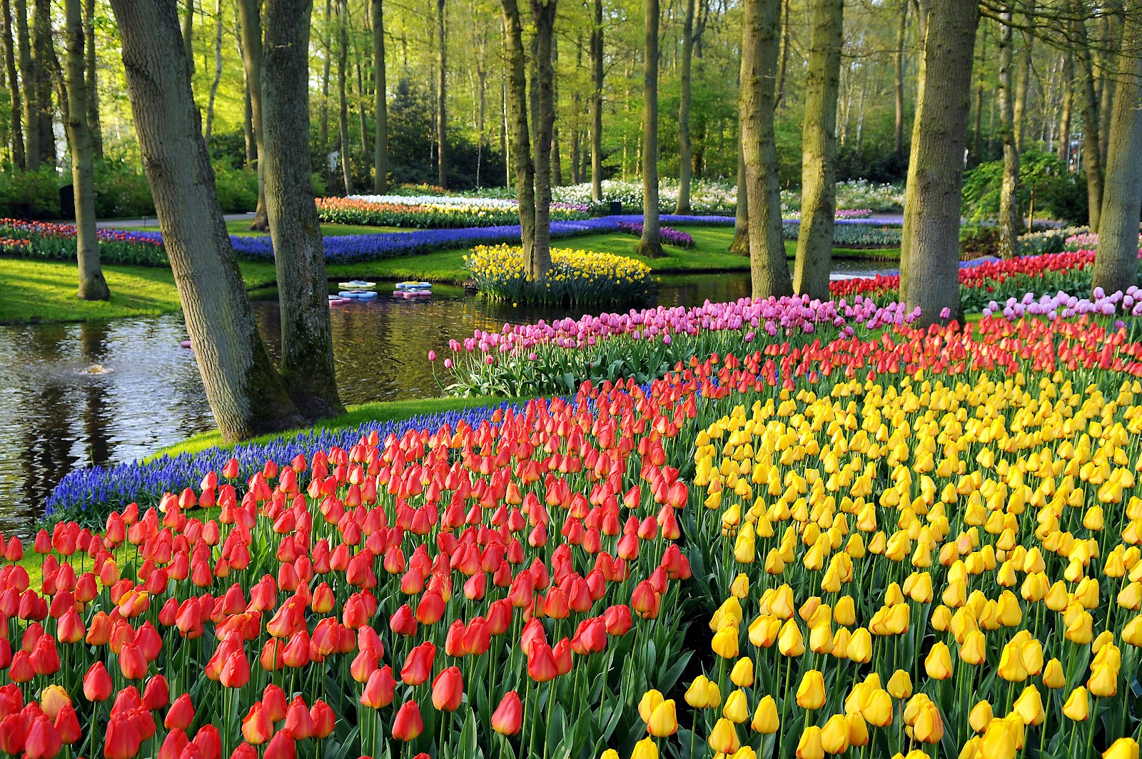 10 Tempat Wisata di Belanda yang Wajib Dikunjungi