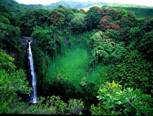 tempat wisata di Hawaii - Haleakala National Park