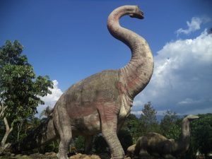 Tempat WIsata di Majalengka - Taman Dinosaurus Buana Marga