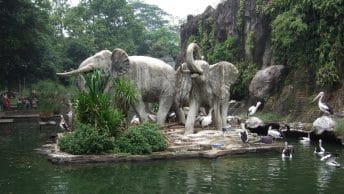kebun binatang ragunan