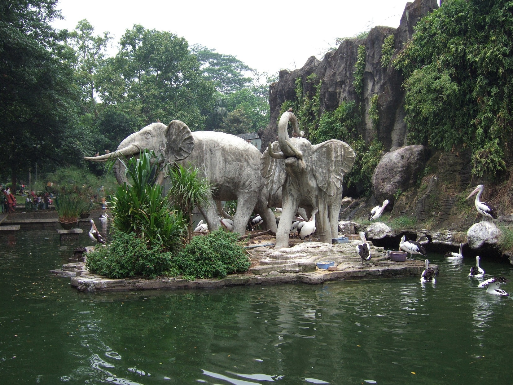 kebun binatang ragunan