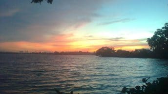 Situ Cipondoh