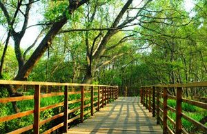 taman suaka margasatwa muara angke
