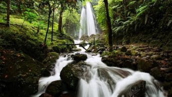 Air Terjun Jumog