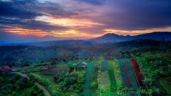 Bukit Moko