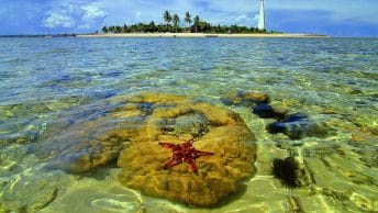Pulau Beras Basah