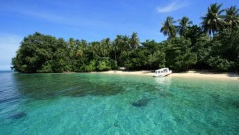 Taman Nasional Teluk Cenderawasih