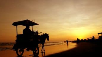 Pantai Parangtritis