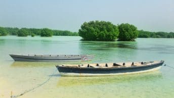 Pulau Pari