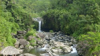 Baturaden