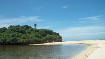Pantai Drini Jogja