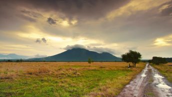 Taman Nasional Baluran Jawa Timur