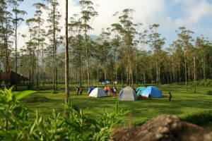 Bumi Kemah Ranca Upas Bumi Kemah Ranca Upas