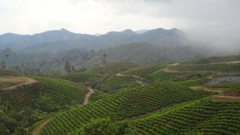 Malino Highland