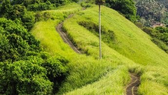 Campuhan Ridge Walk