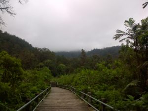  Taman Nasional Gunung Gede Pangrango "width =" 300 "height =" 225 "/> 

<p class=