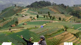 Bukit Mercury Sayang Kaak (mmooeeeee)