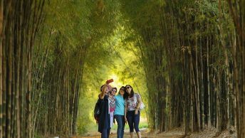 Hutan Bambu dan Taman Harmoni Keputih