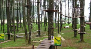 Tempat Wisata di Lembang - Bandung Treetop Adventure Park