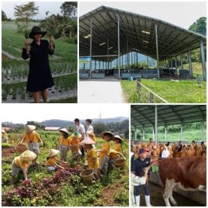 Garuda Farm Sentul (cakarlangit, tripadvisor, dailyvoyagers)