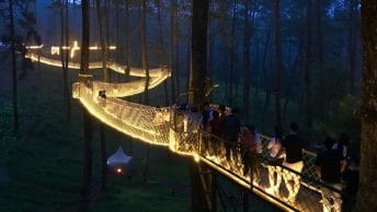 Orchid Forest Cikole Lembang (faktualnews)