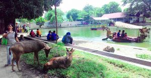 Tempat Wisata di Solo - Taman Balekambang