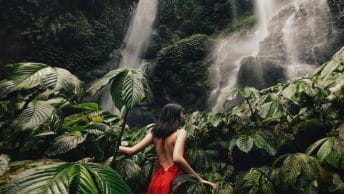 Air Terjun Sekumpul (hidwii)