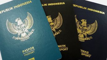 Cara mengurus paspor online (baliplus)