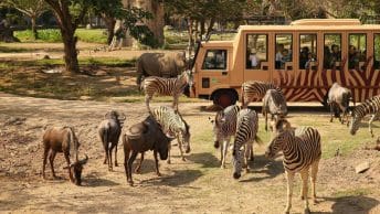 Bali Zoo, Wisata Edukasi di Bali yang Cocok Dikunjungi Bersama Anak