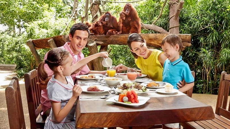 Breakfast with orangutans
