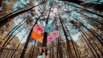 Gunung Pancar, Jawa Barat (f.a_08)