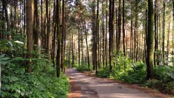 Pesona Gunung Pancar, Jawa Barat (cibinongonline)