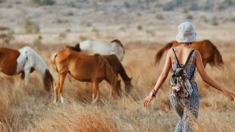 wisata sumba
