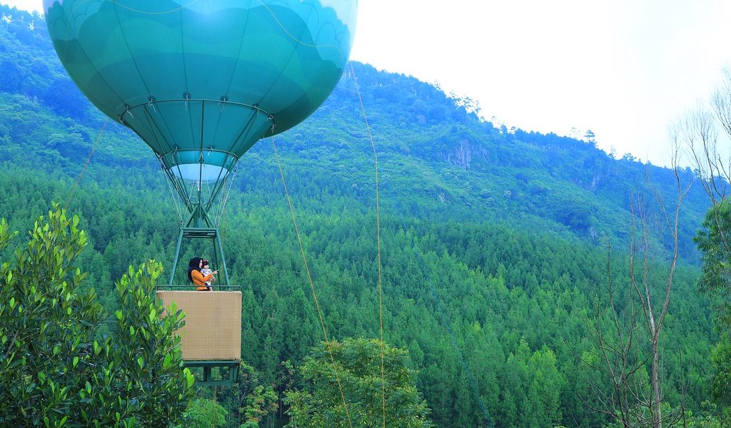 Hot Air Balloon (flickr)