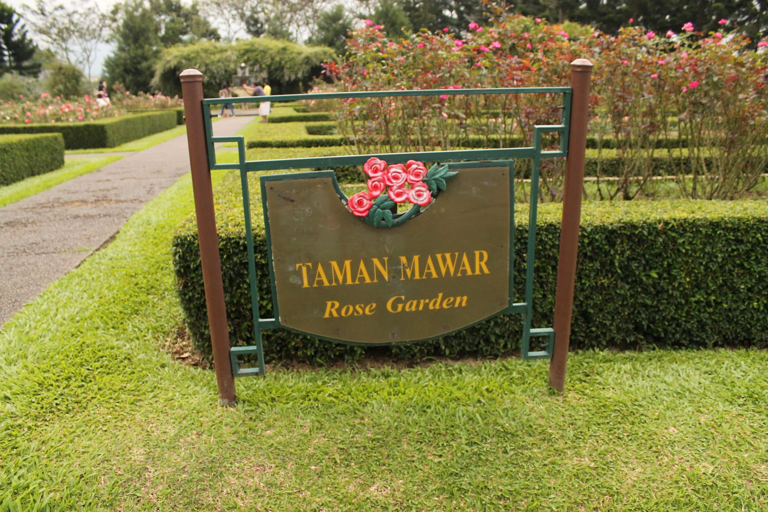 Taman Mawar (kelloggsync)
