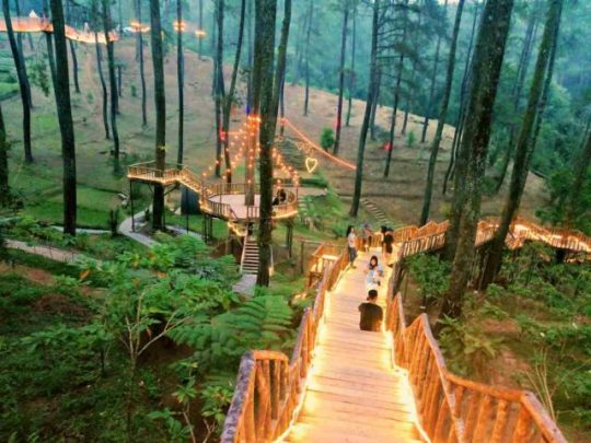 Orchid Forest Cikole Lembang - Harga Tiket, Jam Buka & Review Lengkap