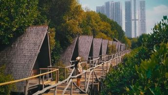 Hutan Mangrove PIK (phinemo)